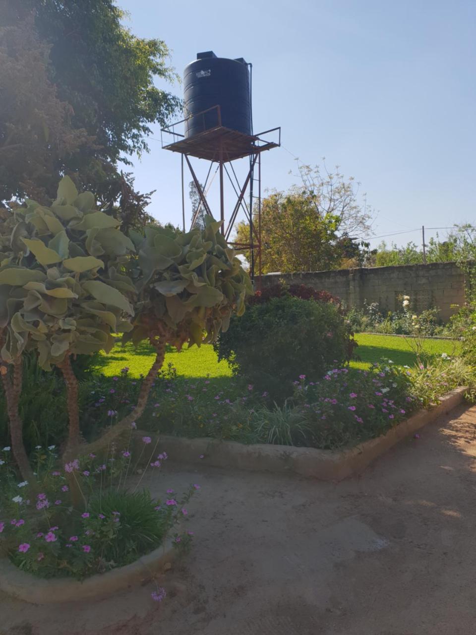The Oasis Evergreen Lodge Choma Exterior photo